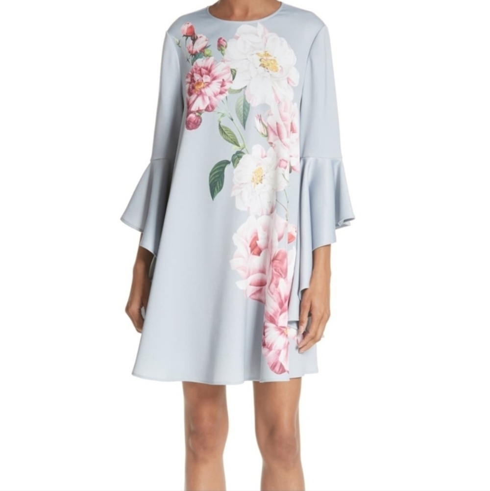 Ted Baker London Womens 2 Small Iguazu Powder Blue Grey Floral Ruffle Mini Dress
